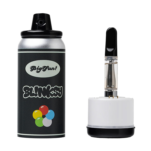 Big Fun! Blinksy “510 Battery”